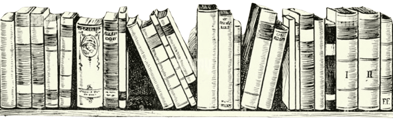 Bücherregal_neu_Textmarkt-removebg-1